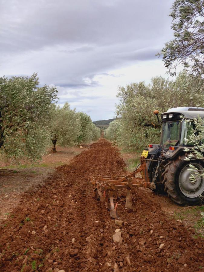 Escale Au Salagou Le Bosc  Exteriör bild